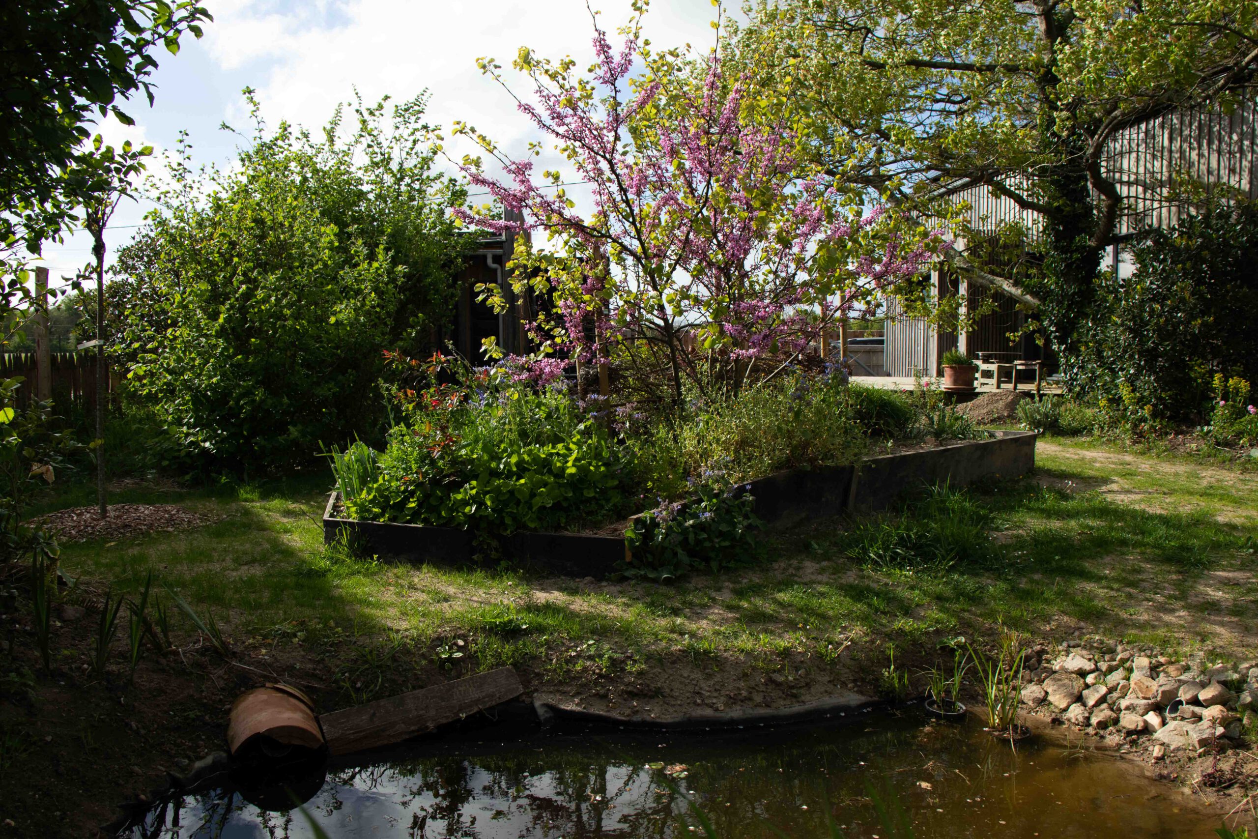 Photo accompagnement